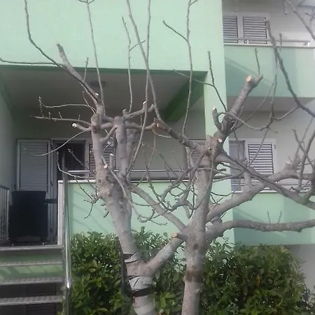 Sveti Filip Jakov Appartement
